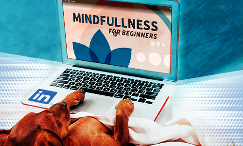 Dog using a laptop to take a mindfulness course.