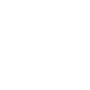 computer mouse